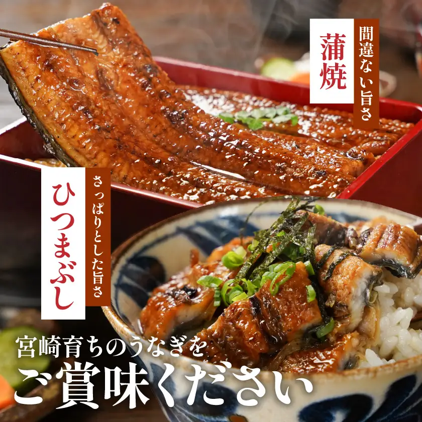 宮崎県育ちの【特大】うなぎ蒲焼1尾210g以上≪山椒・たれ付≫〔11-M301〕_(都城市)  特大うなぎ蒲焼(有頭) 宮崎県産 真空 山椒・たれ付