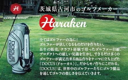 単品 REVOLUTION アイアン #5,GW NS950NEO シャフト装着モデル | ゴルフ golf ゴルフクラブ golf club DOCUS ドゥーカス ギフト 贈答 景品 茨城県 古河市 _FO21