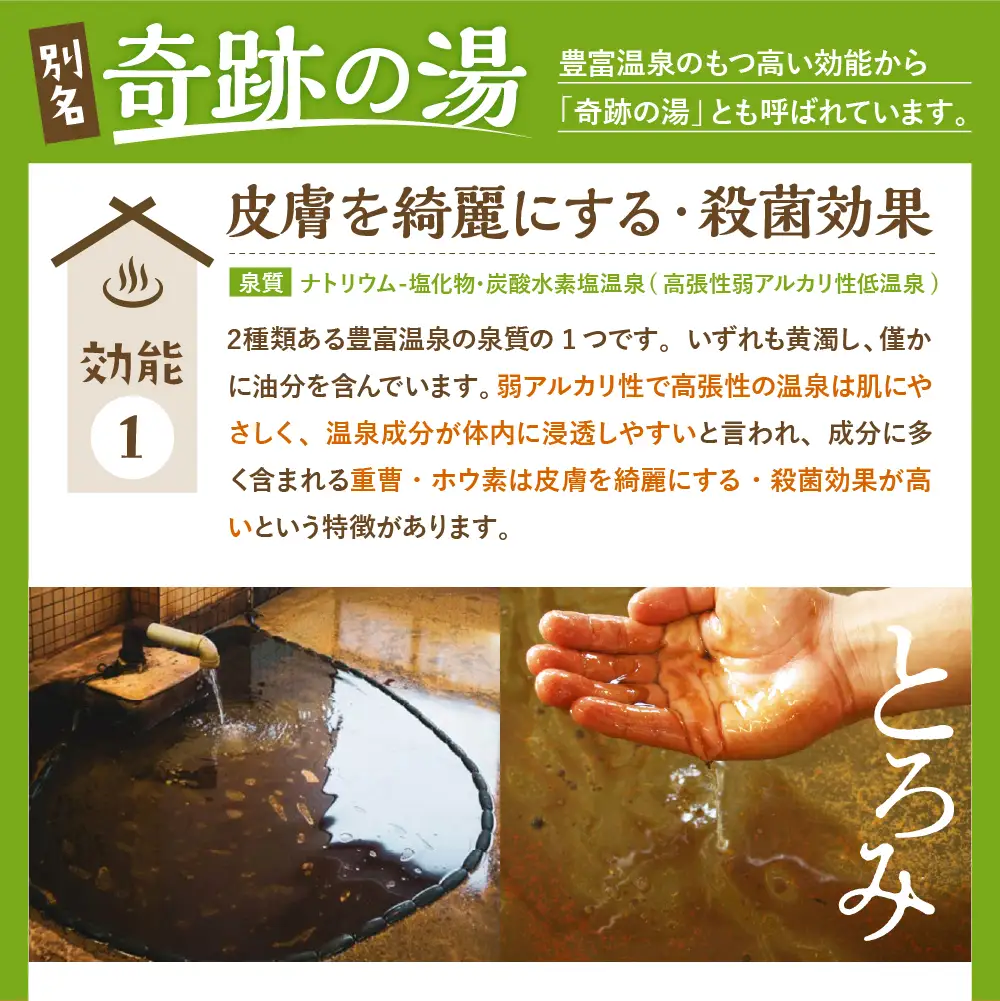 豊富温泉 ふれあいセンター 入浴券 大人用 8回分