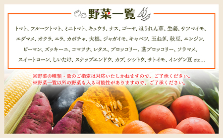 【野菜 定期便6回】野菜BOX 7種類前後【野菜定期便 6回野菜定期便 旬の野菜をお届け 産地直送 野菜定期便 野菜詰め合わせ】 Wyr-0038