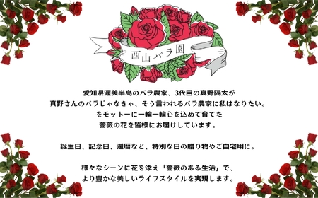 バラ 花束 35本  おまかせ ラッピング有 花 薔薇  生花 愛知県 田原市