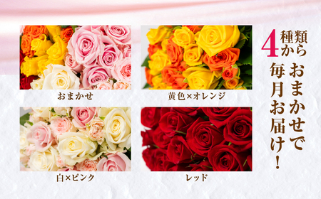 【定期便】バラ 花束 20本 定期便 3カ月コース