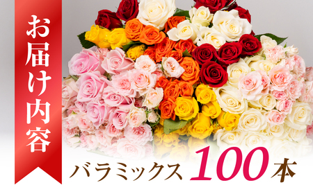 バラ 花束 ご家庭用ミックス 100本 薔薇の花束