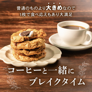 【期間限定】 焼き菓子 詰め合わせ 10枚 クッキー