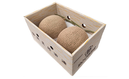 【2026年7月より順次発送】アールスメロン 2個 セット 約1.5kg×2個 静岡県浜松市産 メロン 2玉 果物 フルーツ 静岡 浜松市 三ヶ日