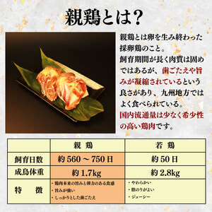 親鶏 もも肉 2.4kg 200g × 12 パック 親鳥 