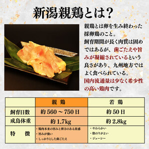 親鶏 むね肉 2.4kg 200g × 12 パック 鶏肉 むね親鳥 親鶏鶏肉 ブランド親鳥 父の日 新潟県 新発田市 親鳥 おすすめ親鳥 maruco002_01