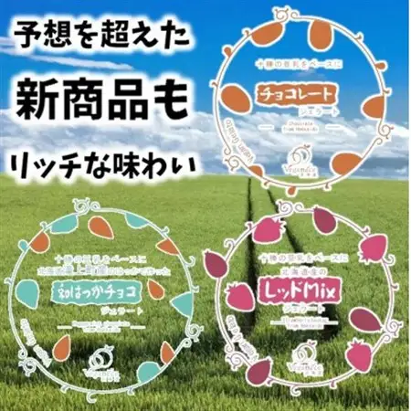 北海道産ヴィーガンジェラート　6個+新商品3個セット_菓子・スイーツ アイス・ジェラート  _【配送不可地域：離島】【1506388】