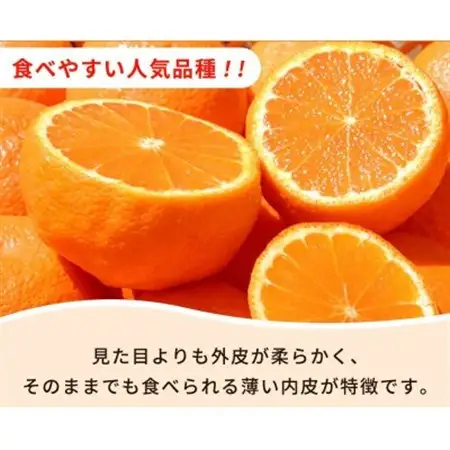 【ご家庭用】紀州有田産不知火(しらぬひ) 6kg【配送不可地域：離島】【1560339】
