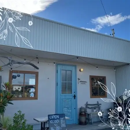 360度どこから見てもお花のアレンジメント_花・観葉植物  花 _【配送不可地域：離島・北海道・九州】【1556168】