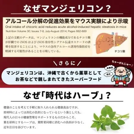 RESCUEマンジェリコンタブレット[モリンガ配合](250mg×90粒)【1550729】