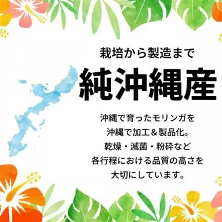 無添加モリンガパウダー(30g×2袋)【1550734】