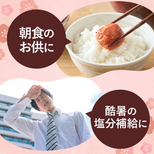 梅干し さつま 南高梅 白干し梅 うめぼし 計700g (350g×2箱) 農事組合法人 梅香丘《30日以内に出荷予定(土日祝除く)》鹿児島県 さつま町 送料無料 梅 うめ ウメボシ ご飯 ご飯のお供 お取り寄せ