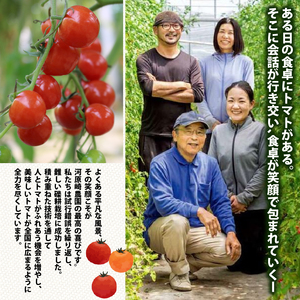 ミニトマト プチルージュ 約2.4kg トマト