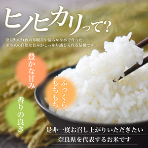 【令和7年産米】（6ヵ月定期便） 無洗米 奈良県産 ヒノヒカリ 計30kg（5kg×1袋×6回）／ 全農パールライス 米 お米 白米 国産 奈良県 葛城市 こめ コメ ライス ご飯 ごはん ふっくら もちもち つやつや おいしい 美味しい 贈り物 国産 特産品 産地直送 数量限定 人気 おすすめ 5キロ 5kg 6ヵ月 【prr-tkb002】