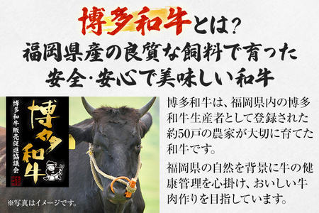 【厳選肉専門店 ふじ匠】 博多和牛 モモ・ウデ焼肉用（お肉ソムリエ開発焼肉のたれ付） 肉 牛肉 博多和牛 もも肉 ウデ肉 焼き肉 タレ 福岡 グルメ 贈り物 冷凍 ギフト 柔らかい ステーキ お取り寄せ 食品
