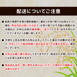 白米 コシヒカリ 10kg 新潟産 令和7年産 コシヒカリ toushin012_03
