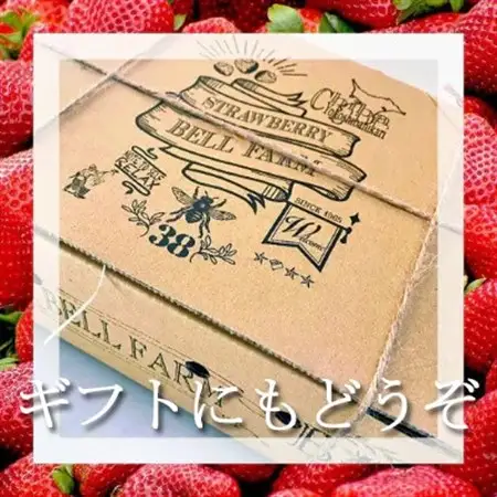 農家直送!削りイチゴパフェも楽しめるBELL FARMの美味しい冷凍いちご2kg【苺1kg×2箱】【配送不可地域：離島】【1013445】