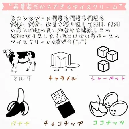 摘み立て苺アイス 人気のいちごアイスクリームセット　Bell Farm のこだわり 6個セット【配送不可地域：離島】【1133535】