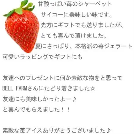 農家直送!の美味しい いちごシャーベット　BELL FARM 2種×3　6個セット【配送不可地域：離島】【1384266】