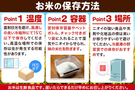 【令和7年産・玄米】宮城県栗原市産 ひとめぼれ 30kg (15kg×2袋)