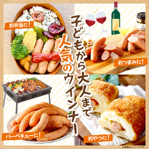 【昔ながらのお肉屋さん】ヒライの手造りポークウインナー 500g《 ソーセージ 送料無料 ウインナー ウィンナーソーセージ 国産 冷凍 お弁当 おつまみ豚肉 ポークウインナー 》【2400I00132】