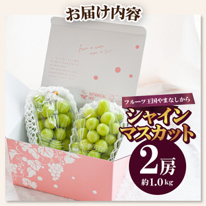 〈2026年度配送分〉シャインマスカット2房（約1.0kg） シャインマスカット 山梨 県産 先行予約 2026年 ぶどう フルーツ 2房 冷蔵 生産量 日本一 甲府 市産 1.0kg以上 フルーツ王国山梨 2026年8月中旬～9月中旬にかけて順次発送