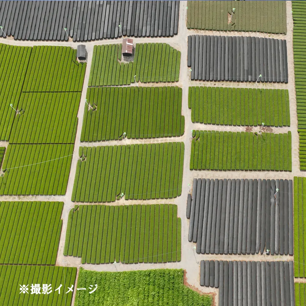 感動のドローン撮影体験 ！！ ドローン撮影コンテスト・グランプリ受賞者が、インストラクターとなって写真・動画撮影をサポートする、感動のドローン撮影体験（初心者歓迎 ）～水沢茶畑風景（ 1 組様）【ドローン ドローン撮影 ドローン撮影体験 体験 コンビナート夜景 夜景 グランプリ受賞 グランプリ 感動 動画 夜景遺産 日本夜景遺産 三重県 四日市市 四日市】