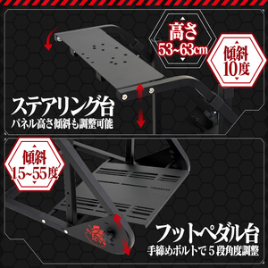 STRASSE RCZ01 TYPE EVA RACING レーシングコックピット シート付 ／ コスティック エヴァンゲリオン エヴァ コラボ 初号機モデル 公式ライセンス商品 奈良県 御所市