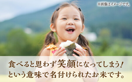 【3回定期便】 にこまる 白米 計10kg（5kg×2袋）【竹下農園】[ZEL008]