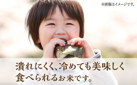 〈令和7年度産米〉【3回定期便】 ヒノヒカリ 白米 5kg　【竹下農園】[ZEL016]
