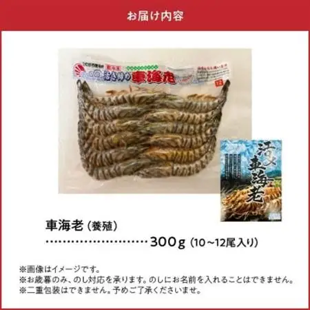 活き〆冷凍車海老LLサイズ【配送不可地域：離島】【1186180】