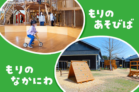 鳥海山 木のおもちゃ館　年間パスポート（おとな）
