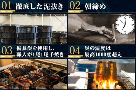 三河一色産うなぎ白焼き大1尾蒲焼大1尾(計280g以上)・R005