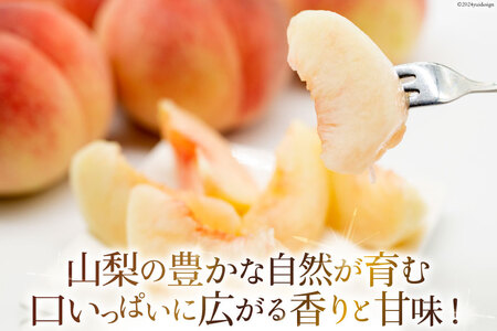 山梨県産 桃 約2kg [えべし 山梨県 中央市 21470864] もも モモ くだもの 産地直送 フルーツ 果物 2キロ 冷蔵 山梨 白桃 【2026年6月下旬-8月下旬発送予定】