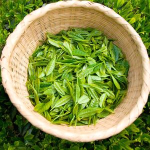 狭山茶 煎茶 詰合せ 100g×5袋 | 狭山茶セット 煎茶 丸長
