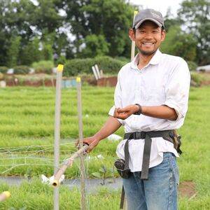 にんじんジュース100% 1L×2本 オーガニックファーム所沢農人 | にんじん ｼﾞｭｰｽ 人参