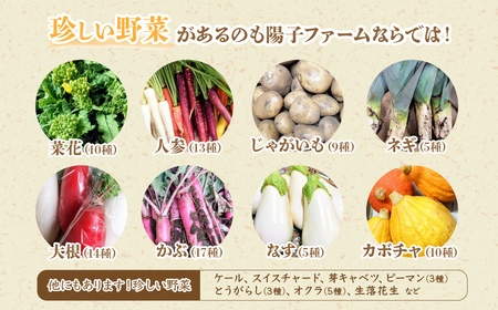 旬の野菜詰め合わせ 11～12種 | 野菜セット 詰め合わせ