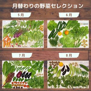 【3ヵ月定期便】旬の野菜詰め合わせ 7～8種 | 野菜セット 詰め合わせ 定期便