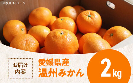 温州みかん 2kg みかん【11月中旬から順次配送】[AGBN046]