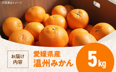 みかん 5kg みかん【11月中旬から順次配送】[AGBN047] 