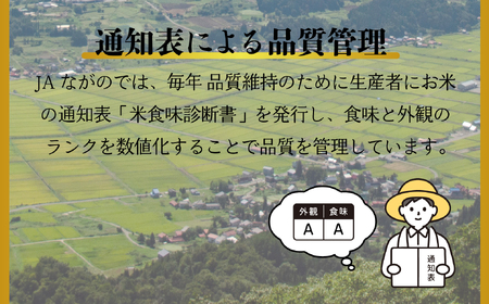 コシヒカリ 5kg 令和7年産【幻の米】コシヒカリ 長野県飯 山市（7-73）