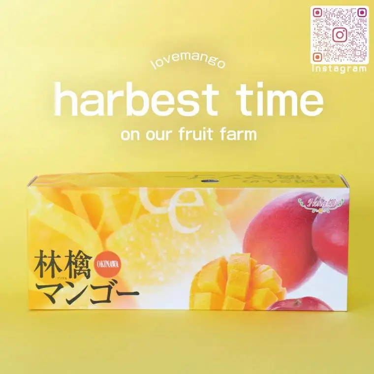 アップルマンゴー 約2kg(3～6玉)(家庭用) 