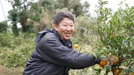 先行予約 みかん 尾崎 早生 温州みかん 約8kg (60玉前後) 【2026年12月上旬から12月下旬頃発送予定】 