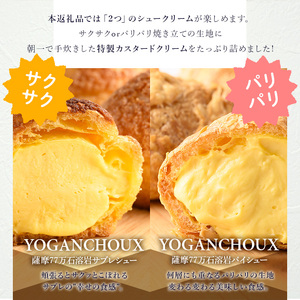 シュークリーム 24個 薩摩77万石溶岩サブレシュー パイシュー お菓子 スイーツ おやつ 青山じゅあん No.1049-C