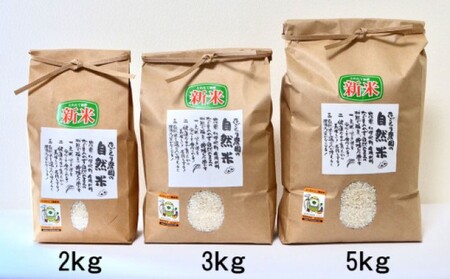 米 たごもり農園の自然米 ヒノヒカリ 2kg 小郡産 栽培期間中 農薬不使用 お米 コメ 精米