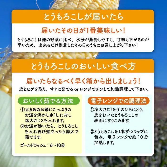 【先行予約】黄金色で大粒 ゴールドラッシュ 8本 3.2kg（2026年8月下旬から発送開始予定）| とうもろこし とうもろこし 北海道 限定_04560