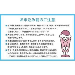 2026年秋発送 岡山県産 紫苑 1房 700ｇ以上 化粧箱入り