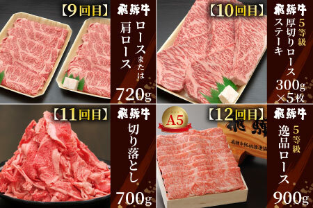 飛騨牛 定期便 全12回 A5等級すき焼き しゃぶしゃぶ ステーキ 焼肉 BBQ ロース カタロース ロースステーキ サーロインステーキ モモ カタ 切り落とし 贅沢 贈り物 12ヶ月 定期 1年 おすすめ 人気 選べる 飛騨 ブランド牛 養老ミート