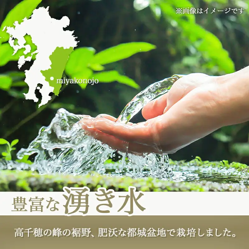 都城産ひのひかりギフトBOX (1kg×3袋)〔AC-2204〕_(都城市) ヒノヒカリ 1kg 真空パック包装 3袋セット